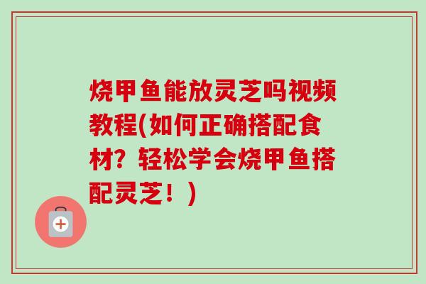 烧甲鱼能放灵芝吗视频教程(如何正确搭配食材？轻松学会烧甲鱼搭配灵芝！)-第1张图片-卓越灵芝孢子粉