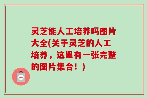 灵芝能人工培养吗图片大全(关于灵芝的人工培养，这里有一张完整的图片集合！)-第1张图片-卓越灵芝孢子粉
