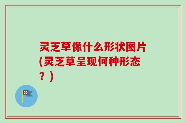 灵芝草像什么形状图片(灵芝草呈现何种形态?)-第1张图片-卓越灵芝孢子粉 灵芝草像什么形状图片(灵芝草呈现何种形态?)-第1张图片-卓越灵芝孢子粉
