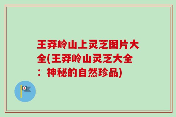 王莽岭山上灵芝图片大全(王莽岭山灵芝大全:神秘的自然珍品)-第1张图片-卓越灵芝孢子粉 王莽岭山上灵芝图片大全(王莽岭山灵芝大全:神秘的自然珍品)-第1张图片-卓越灵芝孢子粉