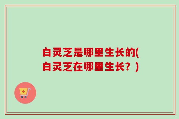 白灵芝是哪里生长的(白灵芝在哪里生长?)-第1张图片-卓越灵芝孢子粉 白灵芝是哪里生长的(白灵芝在哪里生长?)-第1张图片-卓越灵芝孢子粉