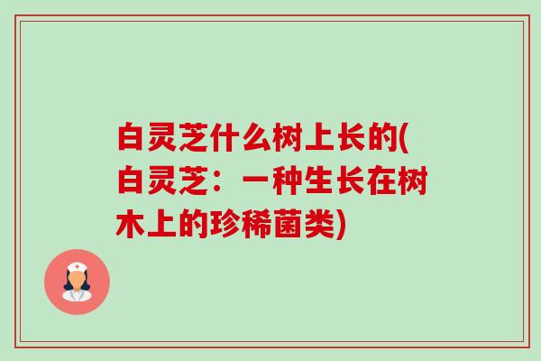 白灵芝什么树上长的(白灵芝:一种生长在树木上的珍稀菌类)-第1张图片-卓越灵芝孢子粉 白灵芝什么树上长的(白灵芝:一种生长在树木上的珍稀菌类)-第1张图片-卓越灵芝孢子粉