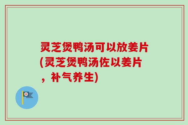 灵芝煲鸭汤可以放姜片(灵芝煲鸭汤佐以姜片，补气养生)-第1张图片-卓越灵芝孢子粉