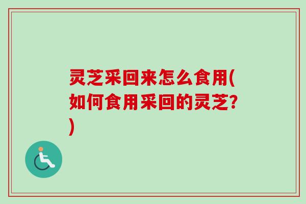 灵芝采回来怎么食用(如何食用采回的灵芝?)-第1张图片-卓越灵芝孢子粉 灵芝采回来怎么食用(如何食用采回的灵芝?)-第1张图片-卓越灵芝孢子粉