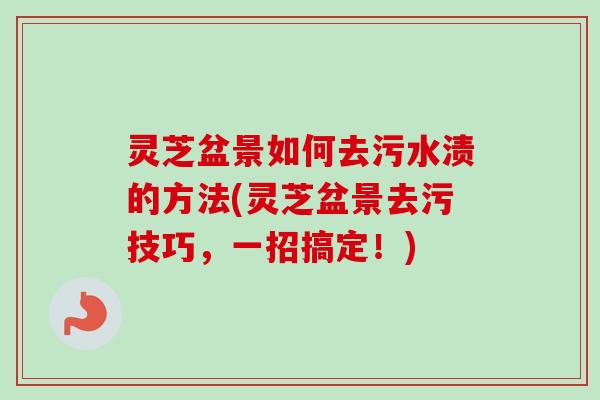 灵芝盆景如何去污水渍的方法(灵芝盆景去污技巧,一招搞定!)-第1张图片-卓越灵芝孢子粉 灵芝盆景如何去污水渍的方法(灵芝盆景去污技巧,一招搞定!)-第1张图片-卓越灵芝孢子粉