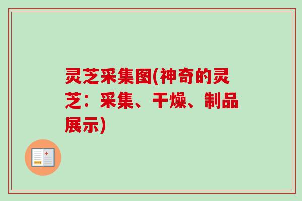 灵芝采集图(神奇的灵芝:采集、干燥、制品展示)-第1张图片-卓越灵芝孢子粉 灵芝采集图(神奇的灵芝:采集、干燥、制品展示)-第1张图片-卓越灵芝孢子粉