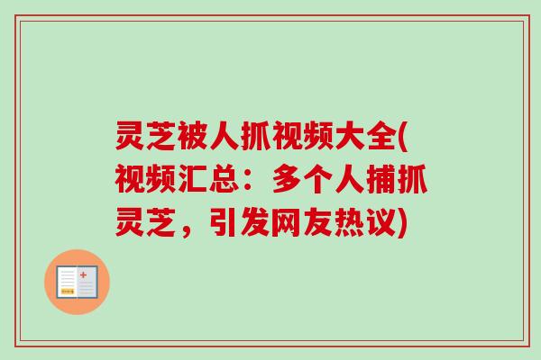 灵芝被人抓视频大全(视频汇总:多个人捕抓灵芝,引发网友热议)-第1张图片-卓越灵芝孢子粉 灵芝被人抓视频大全(视频汇总:多个人捕抓灵芝,引发网友热议)-第1张图片-卓越灵芝孢子粉