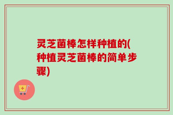 灵芝菌棒怎样种植的(种植灵芝菌棒的简单步骤)-第1张图片-卓越灵芝孢子粉 灵芝菌棒怎样种植的(种植灵芝菌棒的简单步骤)-第1张图片-卓越灵芝孢子粉