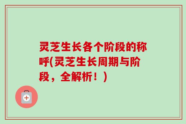 灵芝生长各个阶段的称呼(灵芝生长周期与阶段,全解析!)-第1张图片-卓越灵芝孢子粉 灵芝生长各个阶段的称呼(灵芝生长周期与阶段,全解析!)-第1张图片-卓越灵芝孢子粉