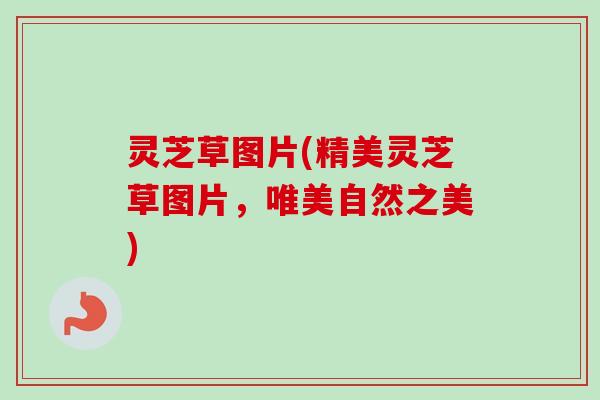 灵芝草图片(精美灵芝草图片，唯美自然之美)-第1张图片-卓越灵芝孢子粉
