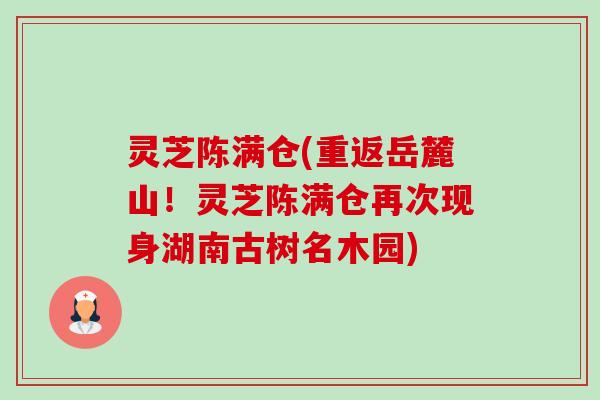 灵芝陈满仓(重返岳麓山！灵芝陈满仓再次现身湖南古树名木园)-第1张图片-卓越灵芝孢子粉