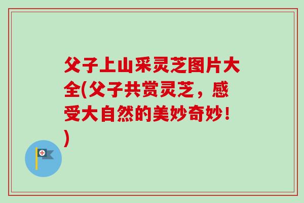 父子上山采灵芝图片大全(父子共赏灵芝,感受大自然的美妙奇妙!)-第1张图片-卓越灵芝孢子粉 父子上山采灵芝图片大全(父子共赏灵芝,感受大自然的美妙奇妙!)-第1张图片-卓越灵芝孢子粉