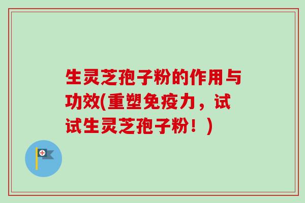 生灵芝孢子粉的作用与功效(重塑免疫力，试试生灵芝孢子粉！)-第1张图片-卓越灵芝孢子粉