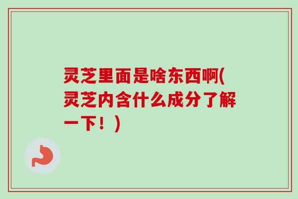 灵芝里面是啥东西啊(灵芝内含什么成分了解一下!)-第1张图片-卓越灵芝孢子粉 灵芝里面是啥东西啊(灵芝内含什么成分了解一下!)-第1张图片-卓越灵芝孢子粉