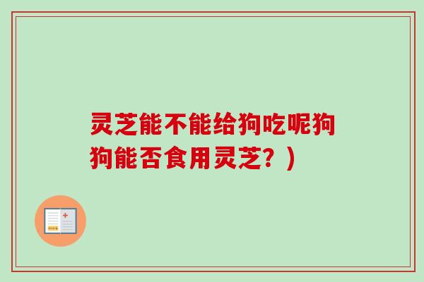 灵芝能不能给狗吃呢狗狗能否食用灵芝?)-第1张图片-卓越灵芝孢子粉 灵芝能不能给狗吃呢狗狗能否食用灵芝?)-第1张图片-卓越灵芝孢子粉