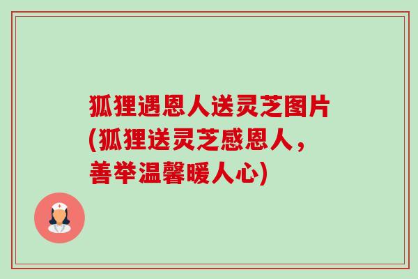 狐狸遇恩人送灵芝图片(狐狸送灵芝感恩人,善举温馨暖人心)-第1张图片-卓越灵芝孢子粉 狐狸遇恩人送灵芝图片(狐狸送灵芝感恩人,善举温馨暖人心)-第1张图片-卓越灵芝孢子粉