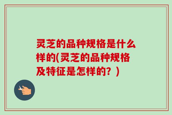 灵芝的品种规格是什么样的(灵芝的品种规格及特征是怎样的？)-第1张图片-卓越灵芝孢子粉