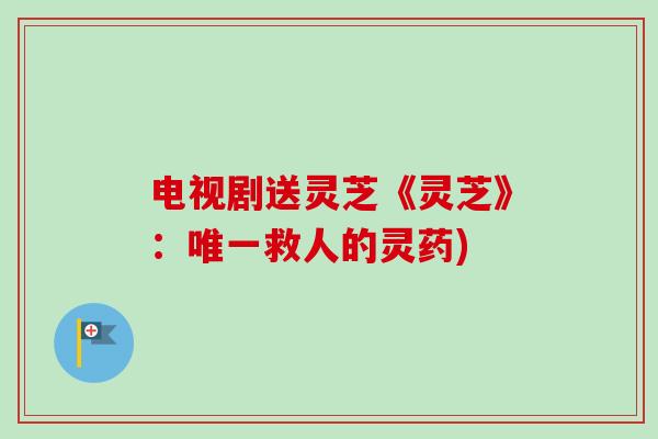 电视剧送灵芝《灵芝》:唯一救人的灵药)-第1张图片-卓越灵芝孢子粉 电视剧送灵芝《灵芝》:唯一救人的灵药)-第1张图片-卓越灵芝孢子粉