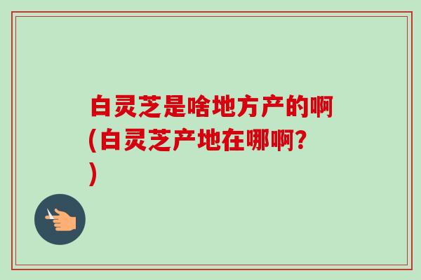 白灵芝是啥地方产的啊(白灵芝产地在哪啊?)-第1张图片-卓越灵芝孢子粉 白灵芝是啥地方产的啊(白灵芝产地在哪啊?)-第1张图片-卓越灵芝孢子粉