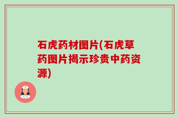石虎药材图片(石虎草药图片揭示珍贵中药资源)-第1张图片-卓越灵芝孢子粉