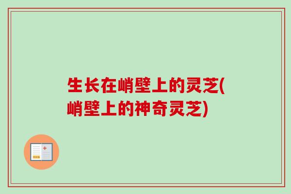 生长在峭壁上的灵芝(峭壁上的神奇灵芝)-第1张图片-卓越灵芝孢子粉