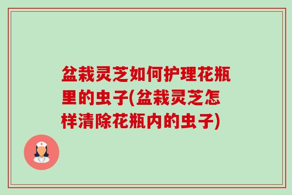 盆栽灵芝如何护理花瓶里的虫子(盆栽灵芝怎样清除花瓶内的虫子)-第1张图片-卓越灵芝孢子粉 盆栽灵芝如何护理花瓶里的虫子(盆栽灵芝怎样清除花瓶内的虫子)-第1张图片-卓越灵芝孢子粉