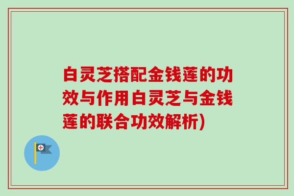 白灵芝搭配金钱莲的功效与作用白灵芝与金钱莲的联合功效解析)-第1张图片-卓越灵芝孢子粉 白灵芝搭配金钱莲的功效与作用白灵芝与金钱莲的联合功效解析)-第1张图片-卓越灵芝孢子粉
