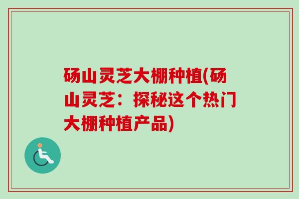 砀山灵芝大棚种植(砀山灵芝：探秘这个热门大棚种植产品)-第1张图片-卓越灵芝孢子粉