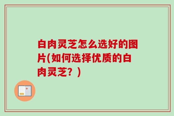 白肉灵芝怎么选好的图片(如何选择优质的白肉灵芝?)-第1张图片-卓越灵芝孢子粉 白肉灵芝怎么选好的图片(如何选择优质的白肉灵芝?)-第1张图片-卓越灵芝孢子粉