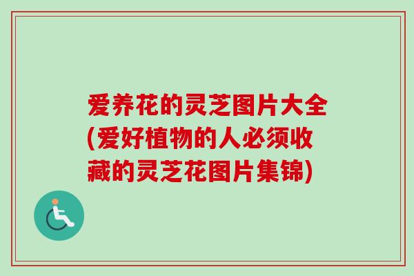 爱养花的灵芝图片大全(爱好植物的人必须收藏的灵芝花图片集锦)-第1张图片-卓越灵芝孢子粉