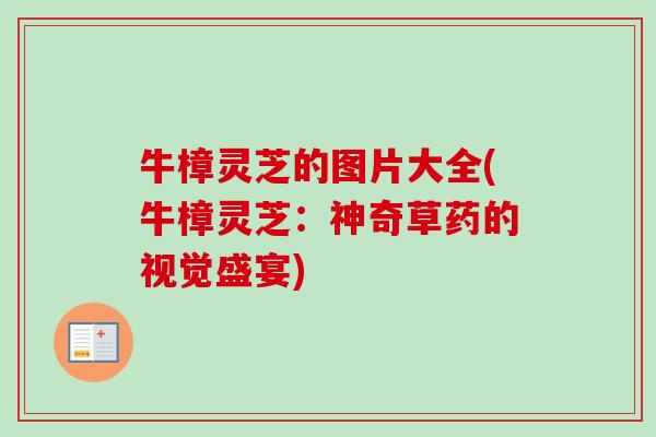 牛樟灵芝的图片大全(牛樟灵芝:神奇草药的视觉盛宴)-第1张图片-卓越灵芝孢子粉 牛樟灵芝的图片大全(牛樟灵芝:神奇草药的视觉盛宴)-第1张图片-卓越灵芝孢子粉