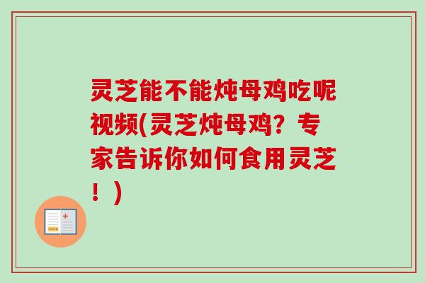 灵芝能不能炖母鸡吃呢视频(灵芝炖母鸡?专家告诉你如何食用灵芝!)-第1张图片-卓越灵芝孢子粉 灵芝能不能炖母鸡吃呢视频(灵芝炖母鸡?专家告诉你如何食用灵芝!)-第1张图片-卓越灵芝孢子粉