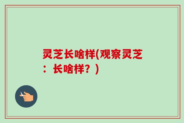 灵芝长啥样(观察灵芝:长啥样?)-第1张图片-卓越灵芝孢子粉 灵芝长啥样(观察灵芝:长啥样?)-第1张图片-卓越灵芝孢子粉