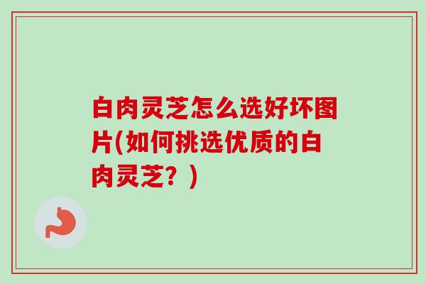 白肉灵芝怎么选好坏图片(如何挑选优质的白肉灵芝?)-第1张图片-卓越灵芝孢子粉 白肉灵芝怎么选好坏图片(如何挑选优质的白肉灵芝?)-第1张图片-卓越灵芝孢子粉