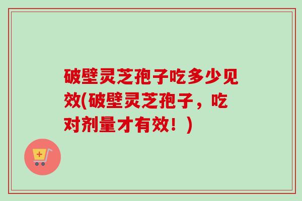 破壁灵芝孢子吃多少见效(破壁灵芝孢子，吃对剂量才有效！)-第1张图片-卓越灵芝孢子粉