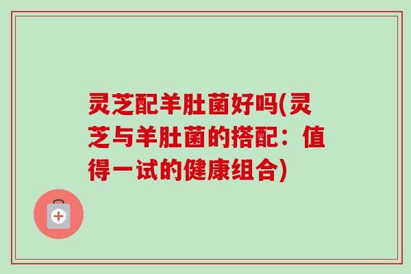 灵芝配羊肚菌好吗(灵芝与羊肚菌的搭配：值得一试的健康组合)-第1张图片-卓越灵芝孢子粉