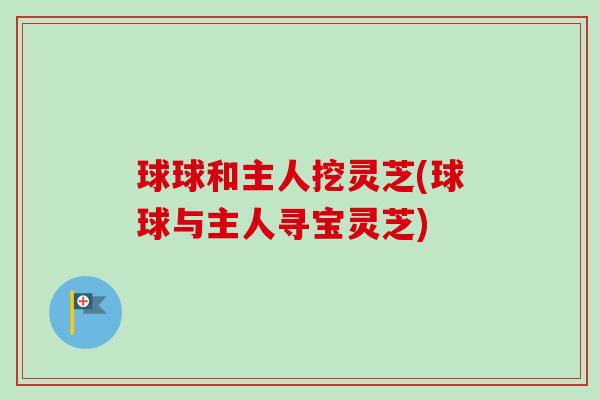 球球和主人挖灵芝(球球与主人寻宝灵芝)-第1张图片-卓越灵芝孢子粉 球球和主人挖灵芝(球球与主人寻宝灵芝)-第1张图片-卓越灵芝孢子粉