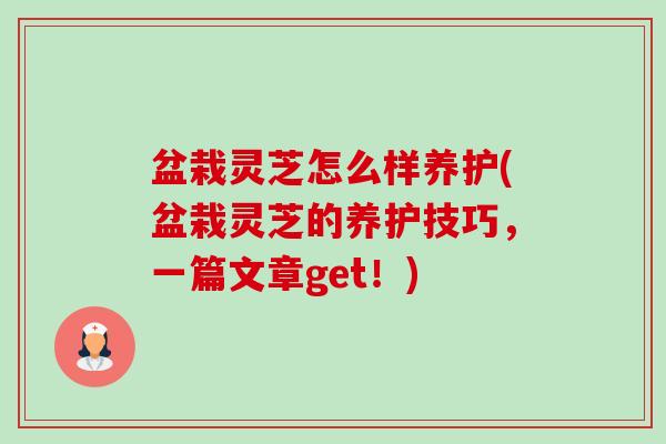 盆栽灵芝怎么样养护(盆栽灵芝的养护技巧,一篇文章get!)-第1张图片-卓越灵芝孢子粉 盆栽灵芝怎么样养护(盆栽灵芝的养护技巧,一篇文章get!)-第1张图片-卓越灵芝孢子粉