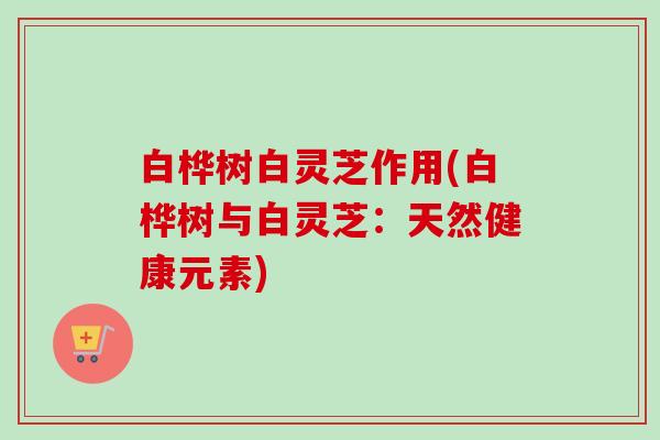 白桦树白灵芝作用(白桦树与白灵芝:天然健康元素)-第1张图片-卓越灵芝孢子粉 白桦树白灵芝作用(白桦树与白灵芝:天然健康元素)-第1张图片-卓越灵芝孢子粉