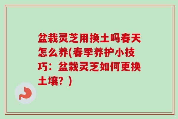 盆栽灵芝用换土吗春天怎么养(春季养护小技巧:盆栽灵芝如何更换土壤?)-第1张图片-卓越灵芝孢子粉 盆栽灵芝用换土吗春天怎么养(春季养护小技巧:盆栽灵芝如何更换土壤?)-第1张图片-卓越灵芝孢子粉