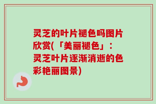 灵芝的叶片褪色吗图片欣赏(「美丽褪色」:灵芝叶片逐渐消逝的色彩艳丽图景)-第1张图片-卓越灵芝孢子粉 灵芝的叶片褪色吗图片欣赏(「美丽褪色」:灵芝叶片逐渐消逝的色彩艳丽图景)-第1张图片-卓越灵芝孢子粉