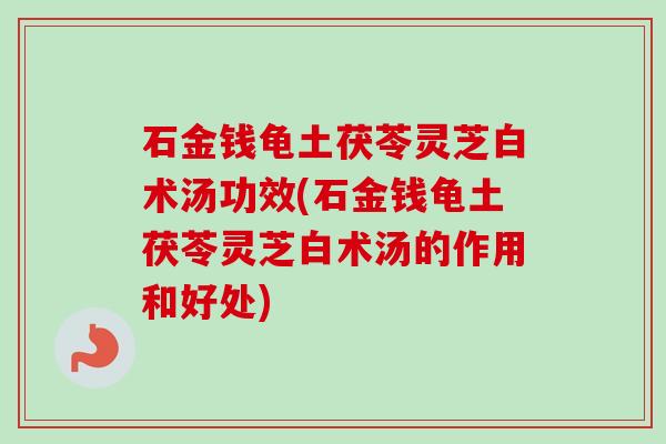石金钱龟土茯苓灵芝白术汤功效(石金钱龟土茯苓灵芝白术汤的作用和好处)-第1张图片-卓越灵芝孢子粉 石金钱龟土茯苓灵芝白术汤功效(石金钱龟土茯苓灵芝白术汤的作用和好处)-第1张图片-卓越灵芝孢子粉