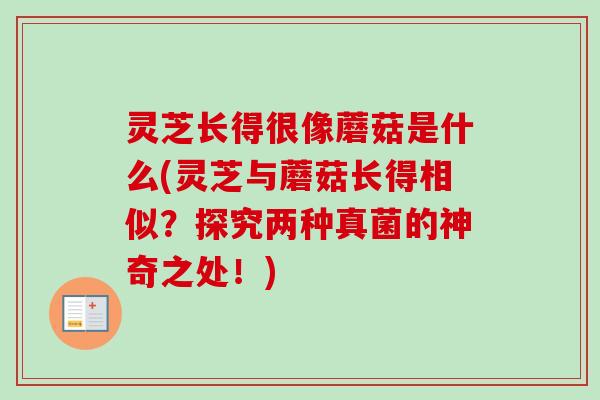 灵芝长得很像蘑菇是什么(灵芝与蘑菇长得相似?探究两种真菌的神奇之处!)-第1张图片-卓越灵芝孢子粉 灵芝长得很像蘑菇是什么(灵芝与蘑菇长得相似?探究两种真菌的神奇之处!)-第1张图片-卓越灵芝孢子粉
