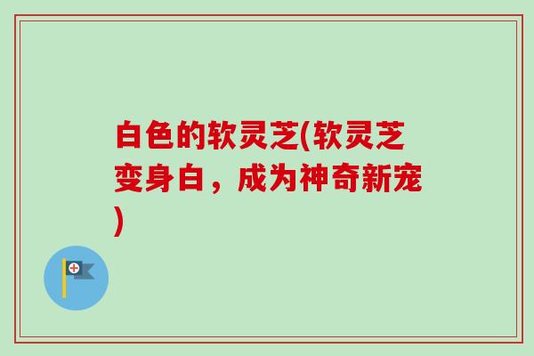 白色的软灵芝(软灵芝变身白,成为神奇新宠)-第1张图片-卓越灵芝孢子粉 白色的软灵芝(软灵芝变身白,成为神奇新宠)-第1张图片-卓越灵芝孢子粉