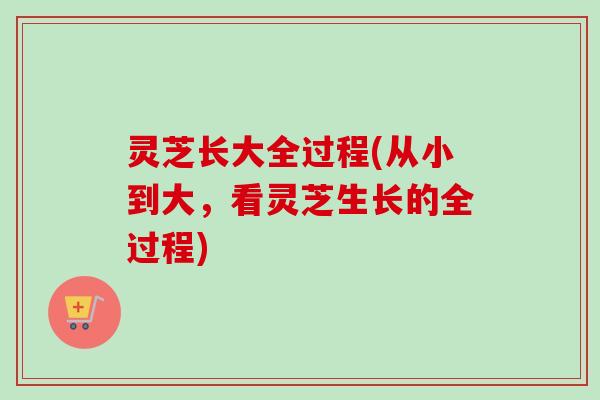 灵芝长大全过程(从小到大,看灵芝生长的全过程)-第1张图片-卓越灵芝孢子粉 灵芝长大全过程(从小到大,看灵芝生长的全过程)-第1张图片-卓越灵芝孢子粉