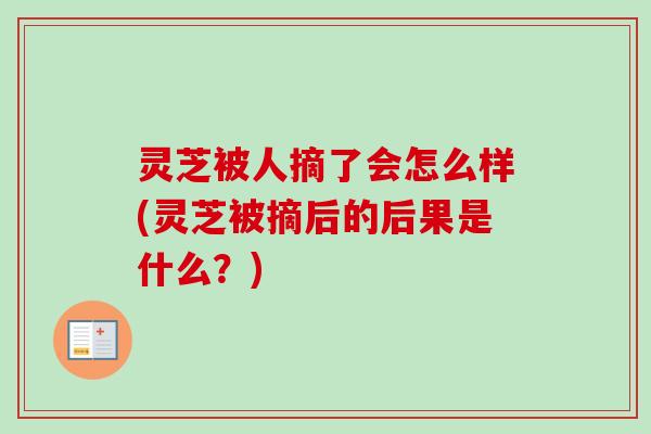 灵芝被人摘了会怎么样(灵芝被摘后的后果是什么?)-第1张图片-卓越灵芝孢子粉 灵芝被人摘了会怎么样(灵芝被摘后的后果是什么?)-第1张图片-卓越灵芝孢子粉