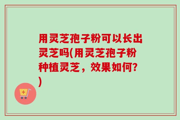 用灵芝孢子粉可以长出灵芝吗(用灵芝孢子粉种植灵芝，效果如何？)-第1张图片-卓越灵芝孢子粉