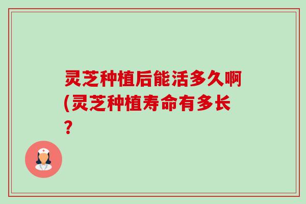 灵芝种植后能活多久啊(灵芝种植寿命有多长?-第1张图片-卓越灵芝孢子粉 灵芝种植后能活多久啊(灵芝种植寿命有多长?-第1张图片-卓越灵芝孢子粉