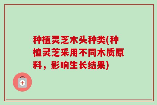 种植灵芝木头种类(种植灵芝采用不同木质原料,影响生长结果)-第1张图片-卓越灵芝孢子粉 种植灵芝木头种类(种植灵芝采用不同木质原料,影响生长结果)-第1张图片-卓越灵芝孢子粉