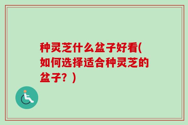 种灵芝什么盆子好看(如何选择适合种灵芝的盆子？)-第1张图片-卓越灵芝孢子粉